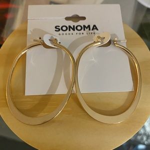 Sonoma . Gold Toned hoops